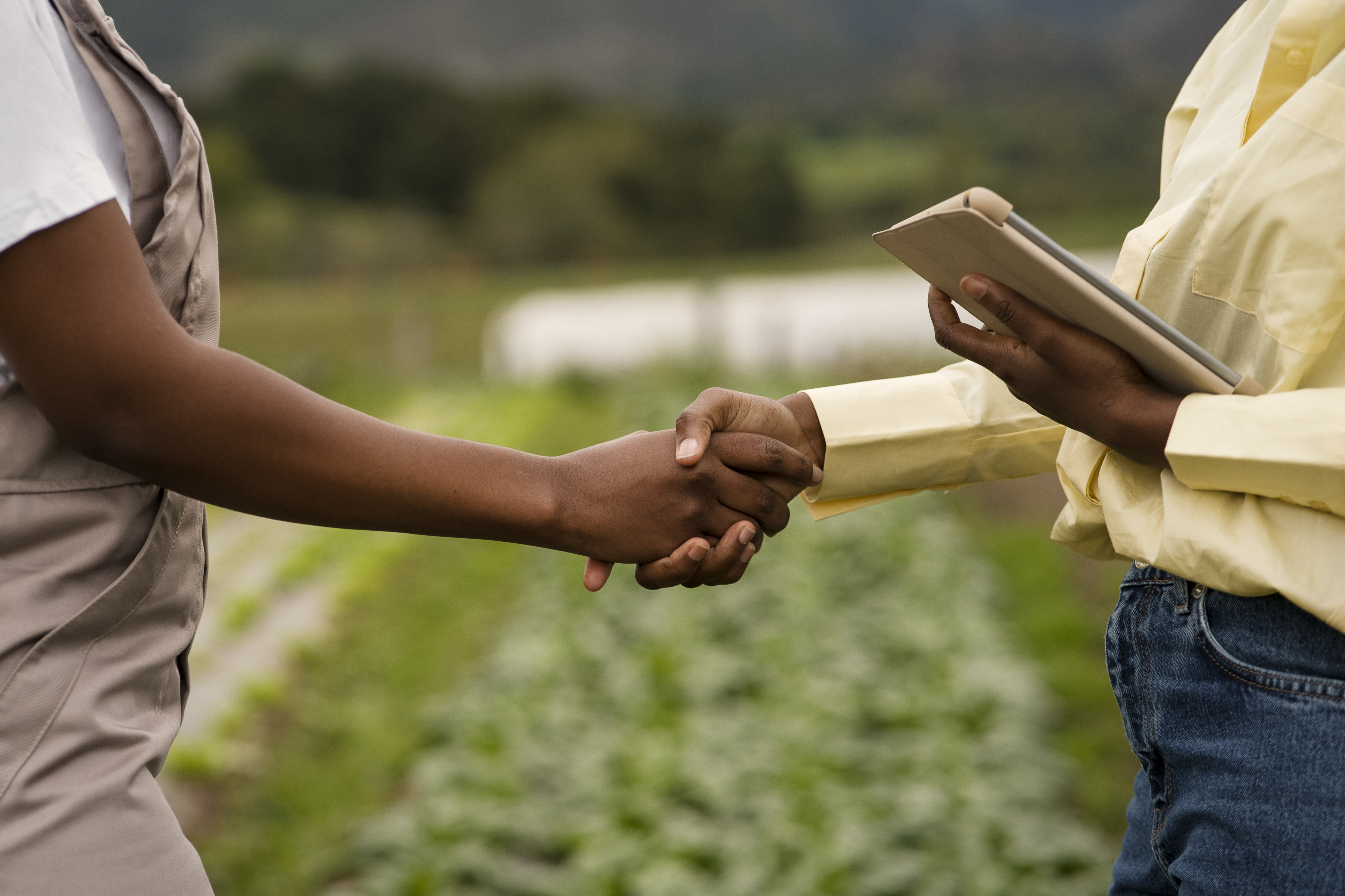 CropLink Agribusiness
