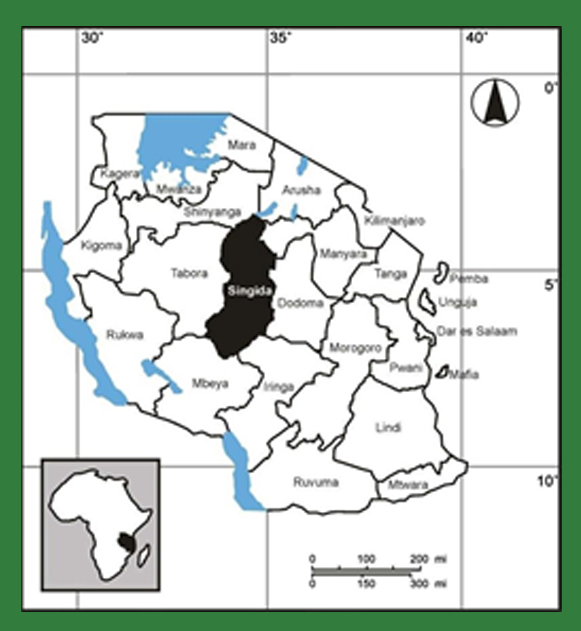Sesame Growing Regions in Tanzania